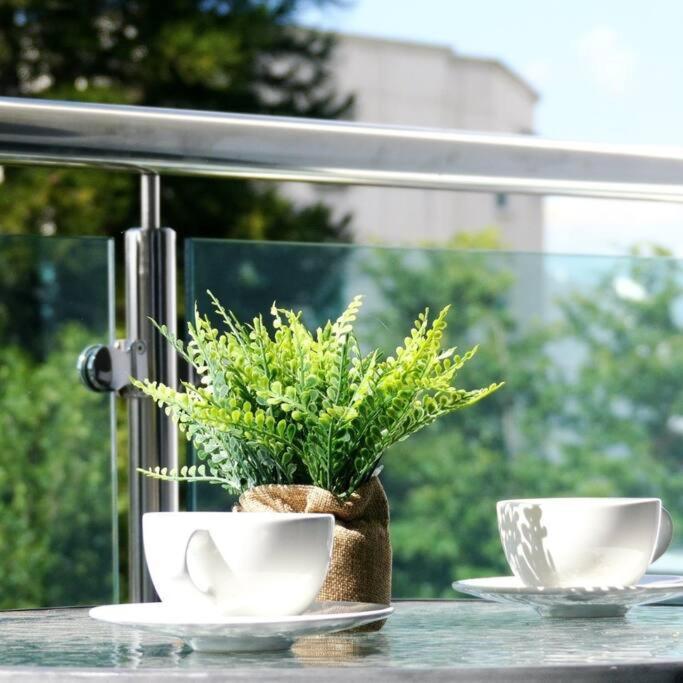 Suites Room Soha II Сантяго де лос Кабайерос Екстериор снимка